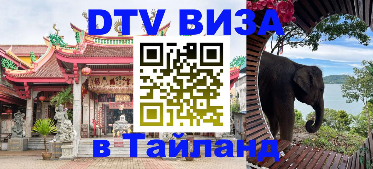 Оформление DTV визы под ключ: стоимость и тарифы, только загранпаспорт - 